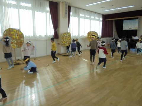 ドングリたくさん拾おう！