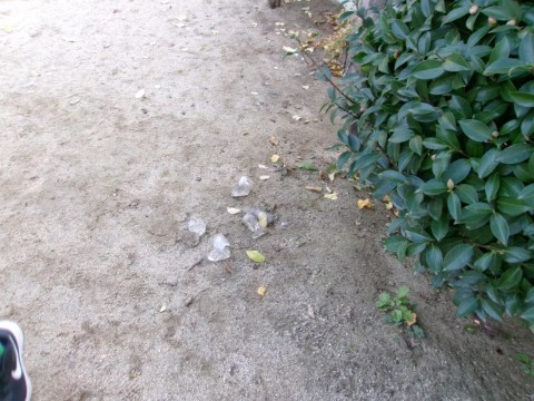 氷が落ちていた