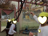 「先生何か木に引っかかってる！」