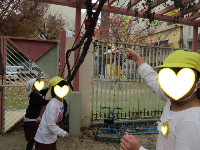 「先生何か木に引っかかってる！」