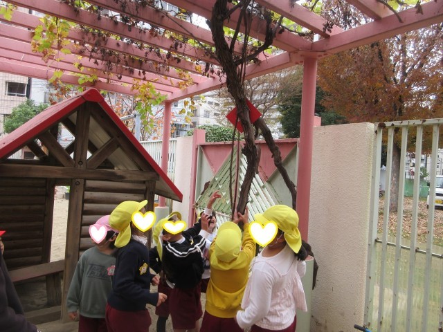 「どうやったら取れるかな？」