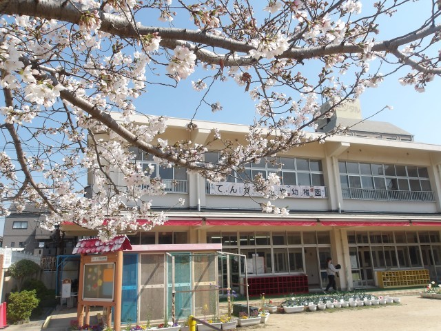 桜が少しずつ咲いてきました！